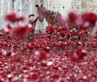 NTL 2020 War Horse - Tower of London36.jpg