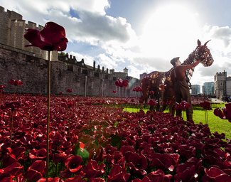 NTL 20202 War Horse - Tower of London38.jpg