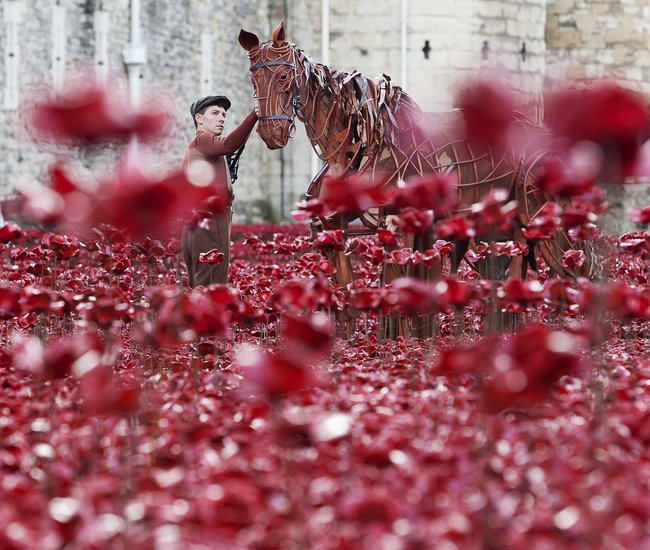 NTL 2020 War Horse - Tower of London36.jpg