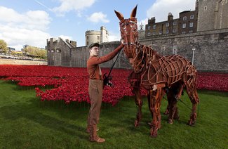 NTL 2020 War Horse - Tower of London37.jpg